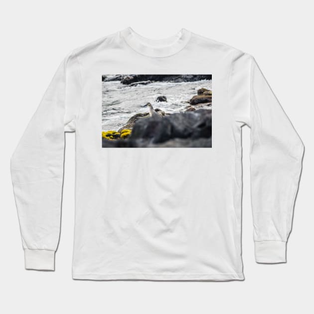 Black-crowned night heron Long Sleeve T-Shirt by KensLensDesigns